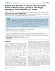 Research paper thumbnail of Experimental Infection of a North American Raptor, American Kestrel (Falco sparverius), with Highly Pathogenic Avian Influenza Virus (H5N1)