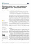 Research paper thumbnail of Responding to Climate Change in Small and Intermediate Cities: Comparative Policy Perspectives from India and South Africa