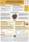 Research paper thumbnail of A multi-facetted analysis of the morphologically unidentifiable bone fraction from the Middle Palaeolithic open-air site of Salzgitter-Lebenstedt (Germany