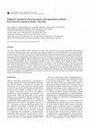 Research paper thumbnail of Enhanced Connexin-43 and  -Sarcomeric Actin Expression in Cultured Heart Myocytes Exposed to Triiodo-l-thyronine