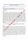 Research paper thumbnail of Slug flow em riser de extração de petróleo em águas profundas: uma análise numérica profunda e proposta de diagnóstico