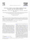 Research paper thumbnail of Escherichia colibind to urinary bladder epithelium through nonspecific sialic acid mediated adherence