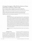 Research paper thumbnail of A Serological Investigation of West Nile Virus Infections in Various Animal Species and Humans in Western Turkey