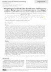 Research paper thumbnail of Morphological and molecular identification with frequency analysis of Calicophoron microbothrioides in central Chile