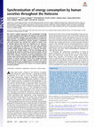 Research paper thumbnail of Synchronization of energy consumption by human societies throughout the Holocene