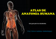 Research paper thumbnail of Manual de Atlas de Anatomía Humana - Ambulodegui