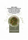 Research paper thumbnail of Sociología y Crítica Jurídica: Bases Teóricas y Convergencias entre Brasil y México (Legal Sociology and Criticism: Theoretical Bases and Convergences between Brazil and Mexico)