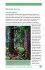 Research paper thumbnail of Identifying old trees and forests in eastern Washington