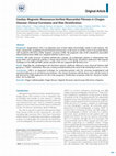 Research paper thumbnail of Cardiac Magnetic Resonance-Verified Myocardial Fibrosis in Chagas Disease: Clinical Correlates and Risk Stratification