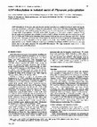 Research paper thumbnail of ADP-ribosylation in isolated nuclei of Physarum polycephalum