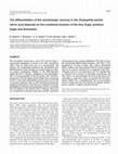 Research paper thumbnail of The differentiation of the serotonergic neurons in the Drosophila ventral nerve cord depends on the combined function of the zinc finger proteins Eagle and Huckebein