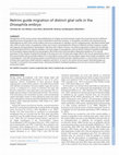 Research paper thumbnail of Netrins guide migration of distinct glial cells in the Drosophila embryo