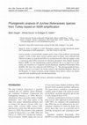 Research paper thumbnail of Phylogenetic analysis of Jurinea (Asteraceae) species from Turkey based on ISSR amplification