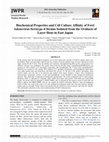 Research paper thumbnail of Biochemical Properties and Cell Culture Affinity of Fowl Adenovirus Serotype-4 Strains Isolated from the Oviducts of Layer Hens in East Japan