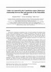 Research paper thumbnail of Lithic raw material in the Cantabrian region: Dialectical relationship between flint and quartzite in the Palaeolithic record