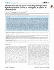 Research paper thumbnail of Identification of Top-Down Forces Regulating Cotton Aphid Population Growth in Transgenic Bt Cotton in Central China