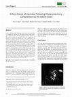 Research paper thumbnail of A Rare Cause of Jaundice Following Cholecystectomy: Compression by the Silicon Drain