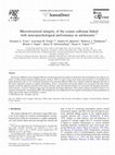 Research paper thumbnail of Microstructural integrity of the corpus callosum linked with neuropsychological performance in adolescents