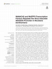 Research paper thumbnail of NbNAC42 and NbZFP3 Transcription Factors Regulate the Virus Inducible NbAGO5 Promoter in Nicotiana benthamiana