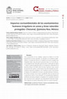 Research paper thumbnail of Impactos socio ambientales de los asentamientos humanos irregulares en zonas y áreas naturales protegidas: Chetumal, Quintana Roo, México