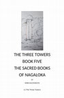 Research paper thumbnail of THE THREE TOWERS