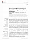 Research paper thumbnail of Neuropeptide Bursicon Influences Reproductive Physiology in Tribolium Castaneum