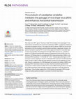 Research paper thumbnail of The α-tubulin of Laodelphax striatellus mediates the passage of rice stripe virus (RSV) and enhances horizontal transmission