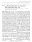 Research paper thumbnail of An Oxidative DNA "Damage" and Repair Mechanism Localized in the VEGF Promoter is Important for Hypoxia-induced VEGF mRNA Expression