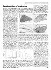 Research paper thumbnail of Feminization of male carp