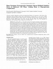 Research paper thumbnail of Heme Oxygenase Overexpression Attenuates Glucose-Mediated Oxidative Stress in Quiescent Cell Phase: Linking Heme to Hyperglycemia Complications