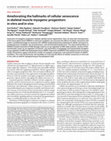 Research paper thumbnail of Ameliorating the hallmarks of cellular senescence in skeletal muscle myogenic progenitors in vitro and in vivo