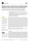 Research paper thumbnail of Photoprotective Role of Photosynthetic and Non-Photosynthetic Pigments in Phillyrea latifolia: Is Their “Antioxidant” Function Prominent in Leaves Exposed to Severe Summer Drought?