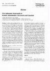 Research paper thumbnail of Cell adhesion molecules in human osteoblasts: structure and function