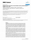 Research paper thumbnail of Analysis of the interaction of extracellular matrix and phenotype of bladder cancer cells