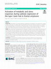 Research paper thumbnail of Activation of metabolic and stress responses during subtoxic expression of the type I toxin hok in Erwinia amylovora