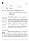 Research paper thumbnail of Resistance to Boscalid, Fluopyram and Fluxapyroxad in Blumeriella jaapii from Michigan (U.S.A.): Molecular Characterization and Assessment of Practical Resistance in Commercial Cherry Orchards