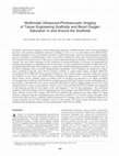 Research paper thumbnail of Multimodal Ultrasound-Photoacoustic Imaging of Tissue Engineering Scaffolds and Blood Oxygen Saturation In and Around the Scaffolds