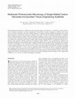 Research paper thumbnail of Multiscale Photoacoustic Microscopy of Single-Walled Carbon Nanotube-Incorporated Tissue Engineering Scaffolds