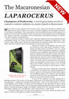 Research paper thumbnail of The Macaronesian Laparocers. Taxonomy, Phylogeny, and Natural History