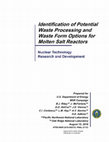 Research paper thumbnail of Identification of Potential Waste Processing and Waste Form Options for Molten Salt Reactors