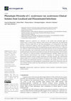 Research paper thumbnail of Phenotypic Diversity of C. neoformans var. neoformans Clinical Isolates from Localized and Disseminated Infections