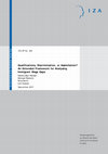 Research paper thumbnail of Qualifications, discrimination, or assimilation? An extended framework for analysing immigrant wage gaps