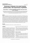 Research paper thumbnail of Ultrastructure of vitellocytes in the cestode Progrillotia pastinacae Dollfus, 1946 (Trypanorhyncha, Progrillotiidae)