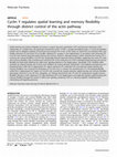 Research paper thumbnail of Cyclin Y regulates spatial learning and memory flexibility through distinct control of the actin pathway