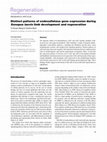 Research paper thumbnail of Distinct patterns of endosulfatase gene expression duringXenopus laevislimb development and regeneration