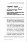 Research paper thumbnail of Callampas of disaster: negotiations and struggles for the commons under forestry hegemony in Chile