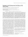 Research paper thumbnail of Variability in the developmental life history of the genusGorilla