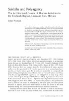 Research paper thumbnail of Sakbihs and polyagency: the architectural causes of human behaviour in the Cochuah region, Quintana Roo, Mexico