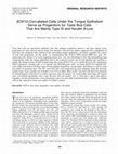 Research paper thumbnail of SOX10-Cre-Labeled Cells Under the Tongue Epithelium Serve as Progenitors for Taste Bud Cells That Are Mainly Type III and Keratin 8-Low