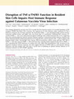 Research paper thumbnail of Disruption of TNF-α/TNFR1 Function in Resident Skin Cells Impairs Host Immune Response against Cutaneous Vaccinia Virus Infection